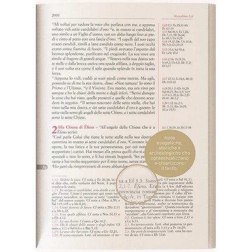 LA BIBBIA SCRUTATE LE SCRITTURE BROSSURA