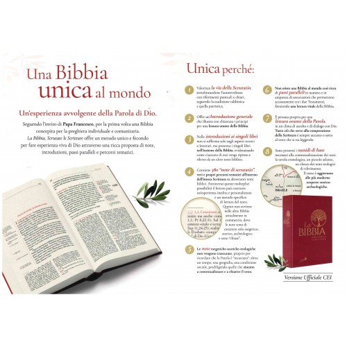 La Bibbia Scrutate Le Scritture - Brossura