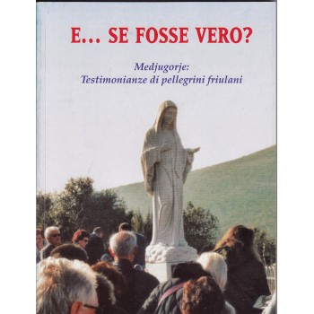 E...Se Fosse Vero? Medjugorje: Testimonianze di...