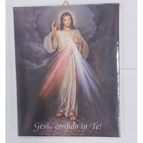 Quadro stampato su Tela Gesù Misericordioso - con telaio 20x25