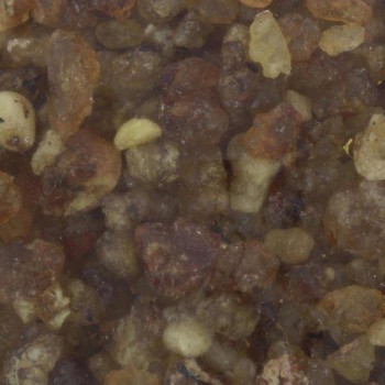 INCENSI- Incenso Liturgico BALDASSARRE 500 gr 2