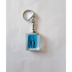 PORTACHIAVI - Vetro Madonna Miracolosa