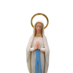 STATUA - Madonna Plastica Colorata