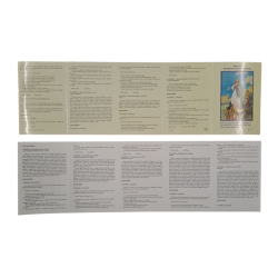 PREGHIERE - Novena all'Immacolata Concezione Pieghevole