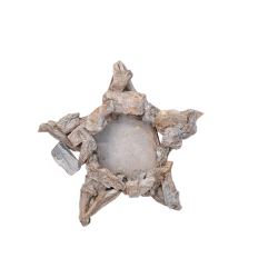 CENTROTAVOLA NATALE Stella portacandela