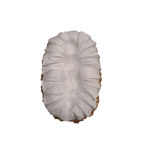 NATALE - Natività in Resina da 50,5cm circa