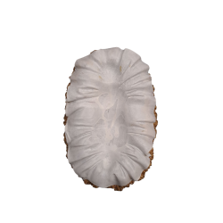 NATALE - Natività in Resina da 50,5cm circa