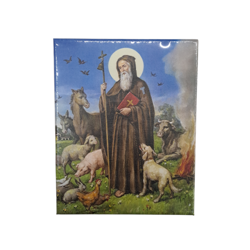 Quadro Tela Sant' Antonio Abate