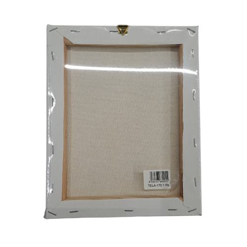 Quadro Tela Sant' Antonio Abate