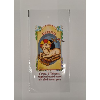 Buste Sacchetti Porta Ulivo 200pz