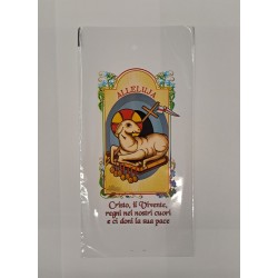 Buste Sacchetti Porta Ulivo 200pz