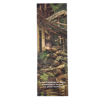 SAN FRANCESCO - Cartoncino