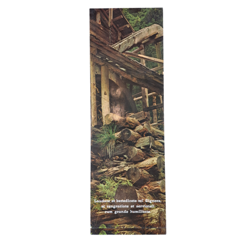 SAN FRANCESCO - Cartoncino